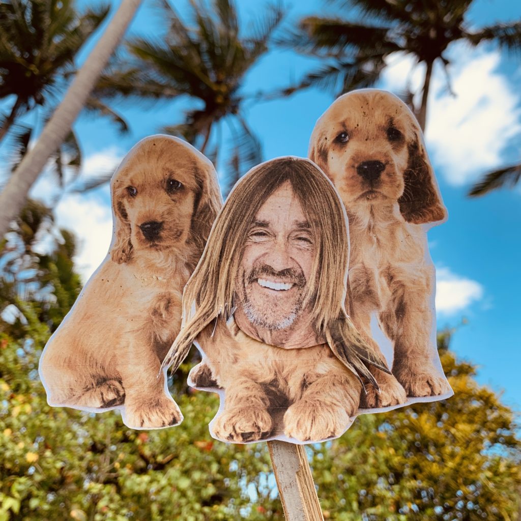 Iggy Pop lê uma carta de amor para seu cão