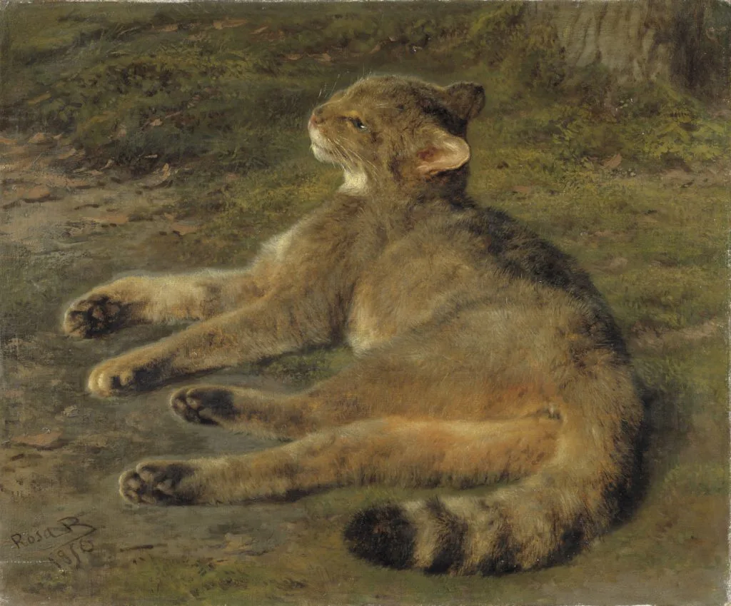 Wild Cat, de Rosa Bonheur