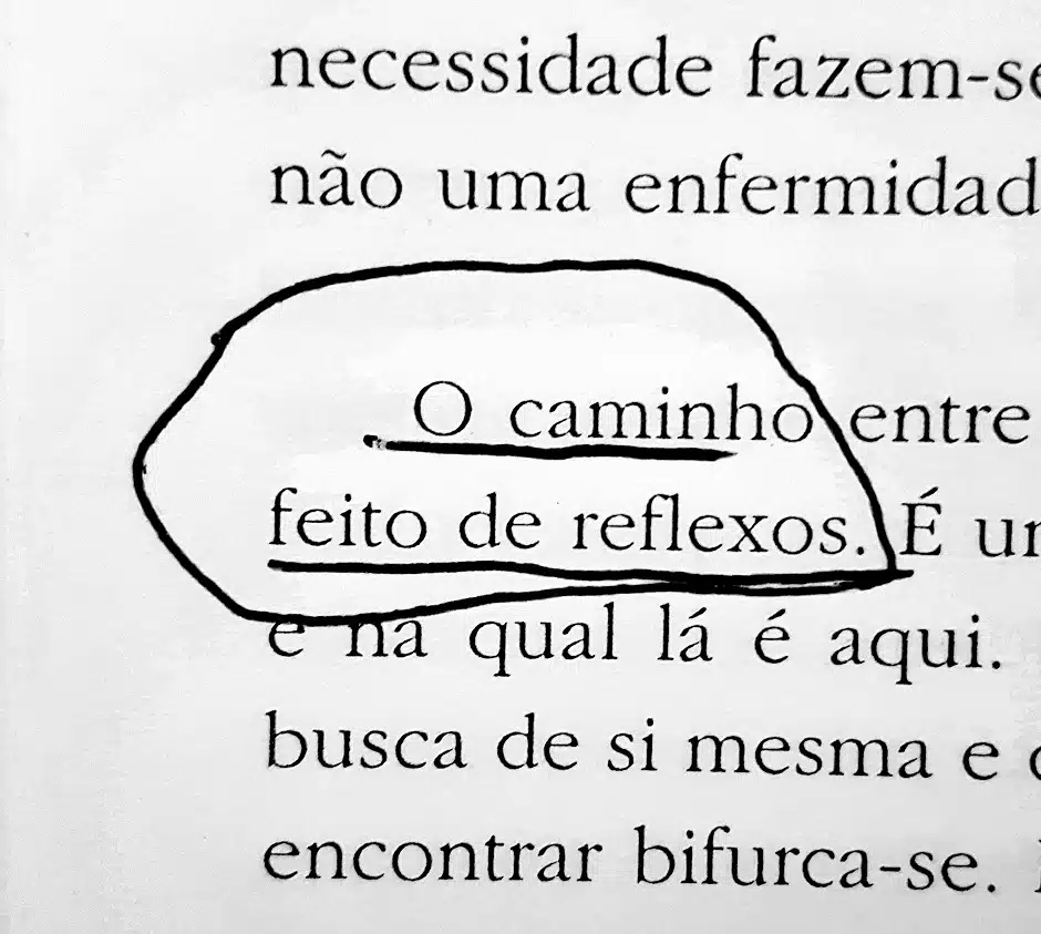 Flutua sobre as ruínas, flutua, de Omar Salomão