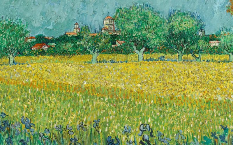 Vincent van Gogh, Field with Irises near Arles, Arles, May 1888 (1)